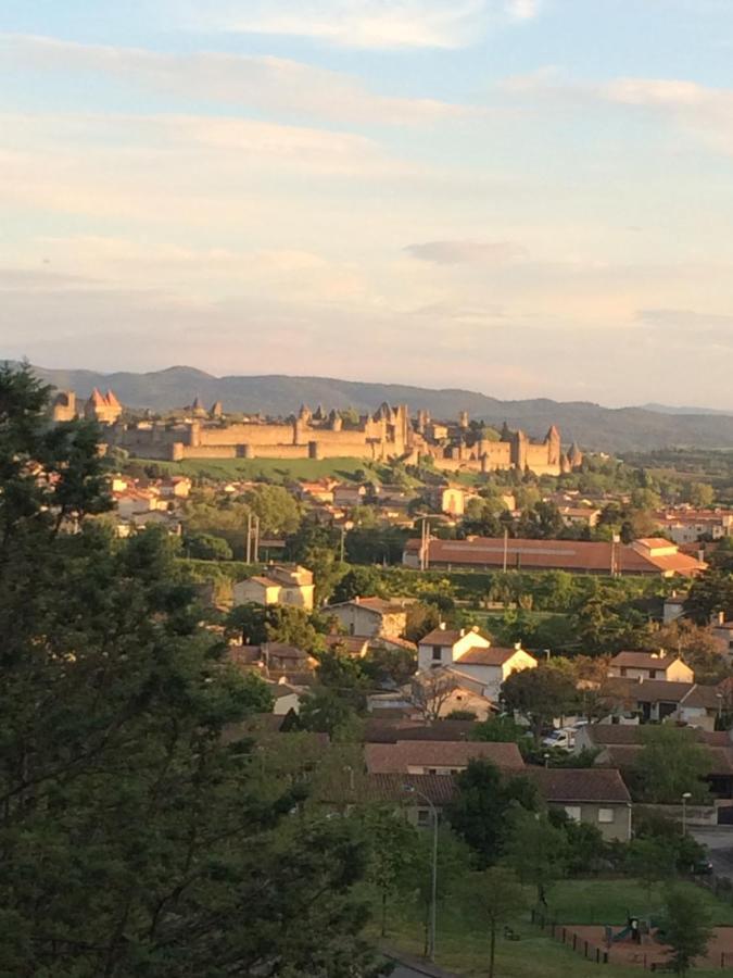 Chambre d'hôte vue imprenable sur Cité - Villa Rose Carcassonne Extérieur photo
