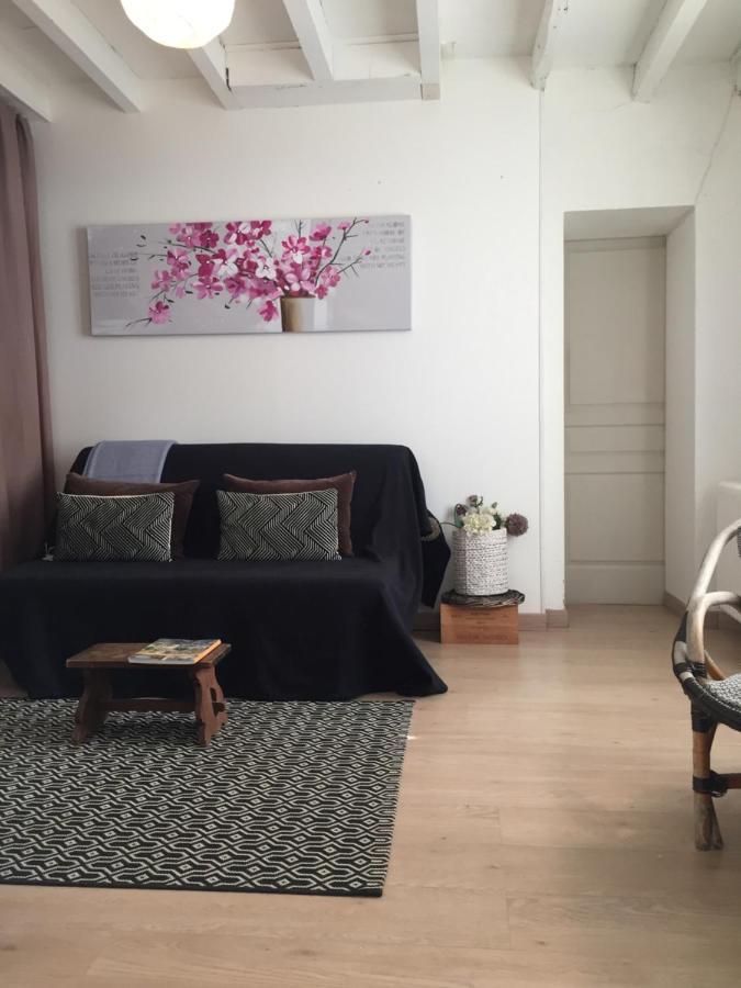 Chambre d'hôte vue imprenable sur Cité - Villa Rose Carcassonne Extérieur photo