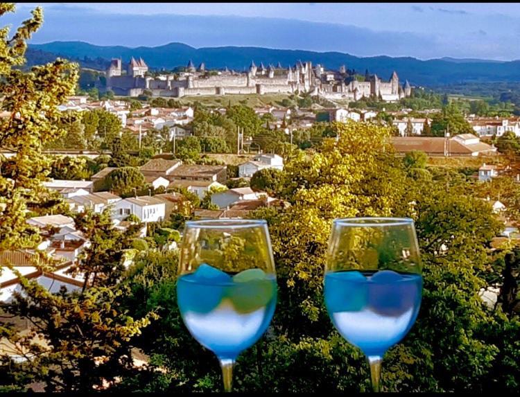 Chambre d'hôte vue imprenable sur Cité - Villa Rose Carcassonne Extérieur photo
